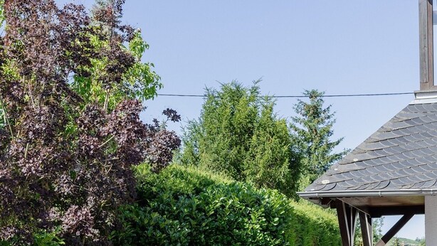 A parking area with a stone wall and a sign indicating a museum entrance. - Vacation Rental in Winningen with a View of the Moselle (Winningen)