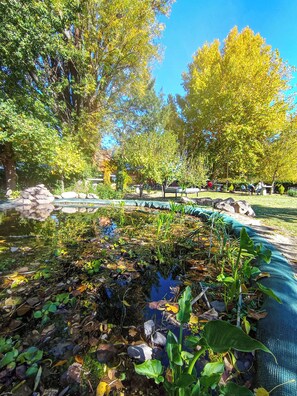 Piscina natural