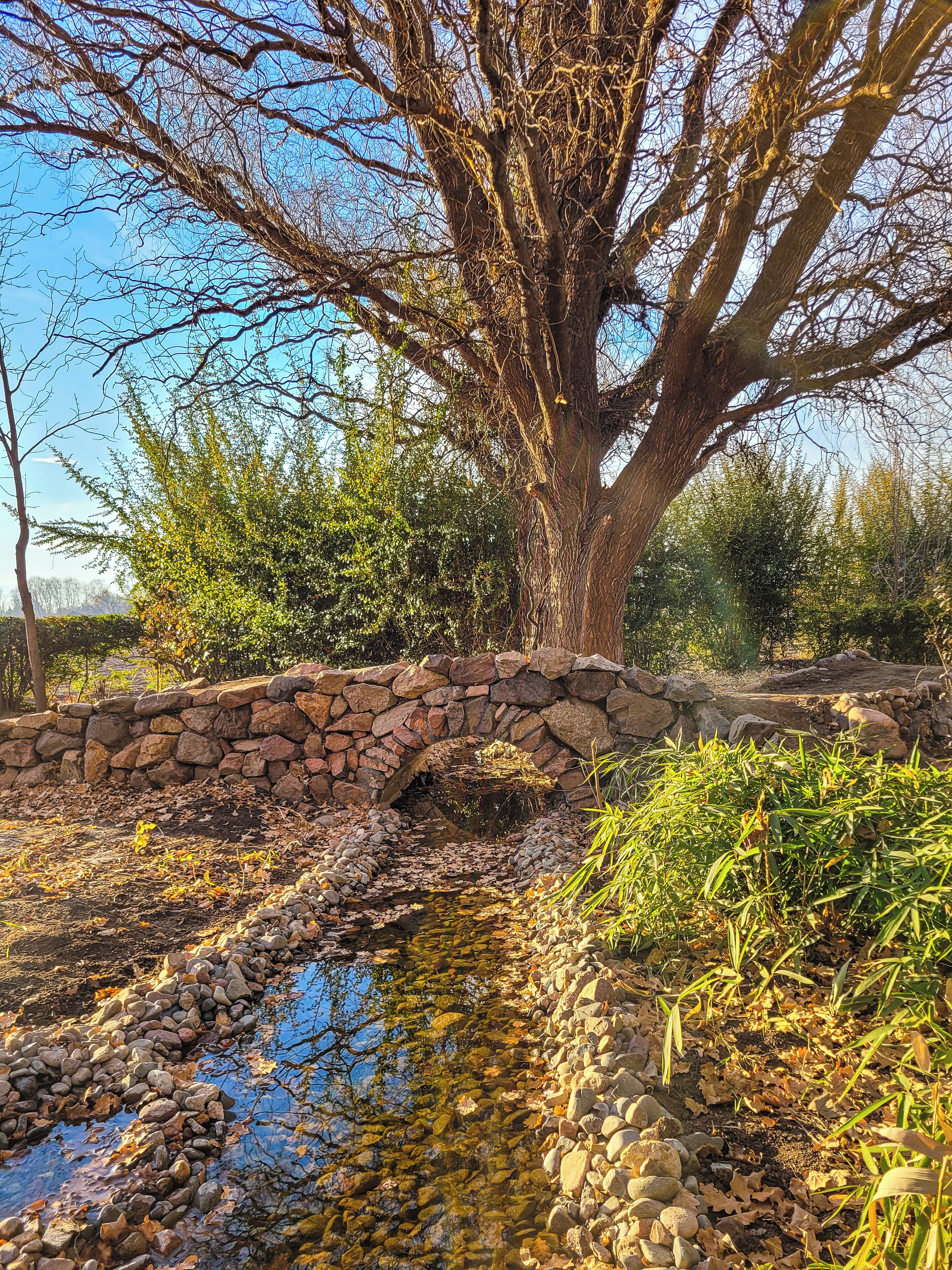 A stone bridge over a small stream with surrounding trees and vegetation.