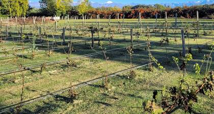 Finca La Saucina
