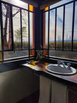 Superior Double Room, Vineyard View | View from room