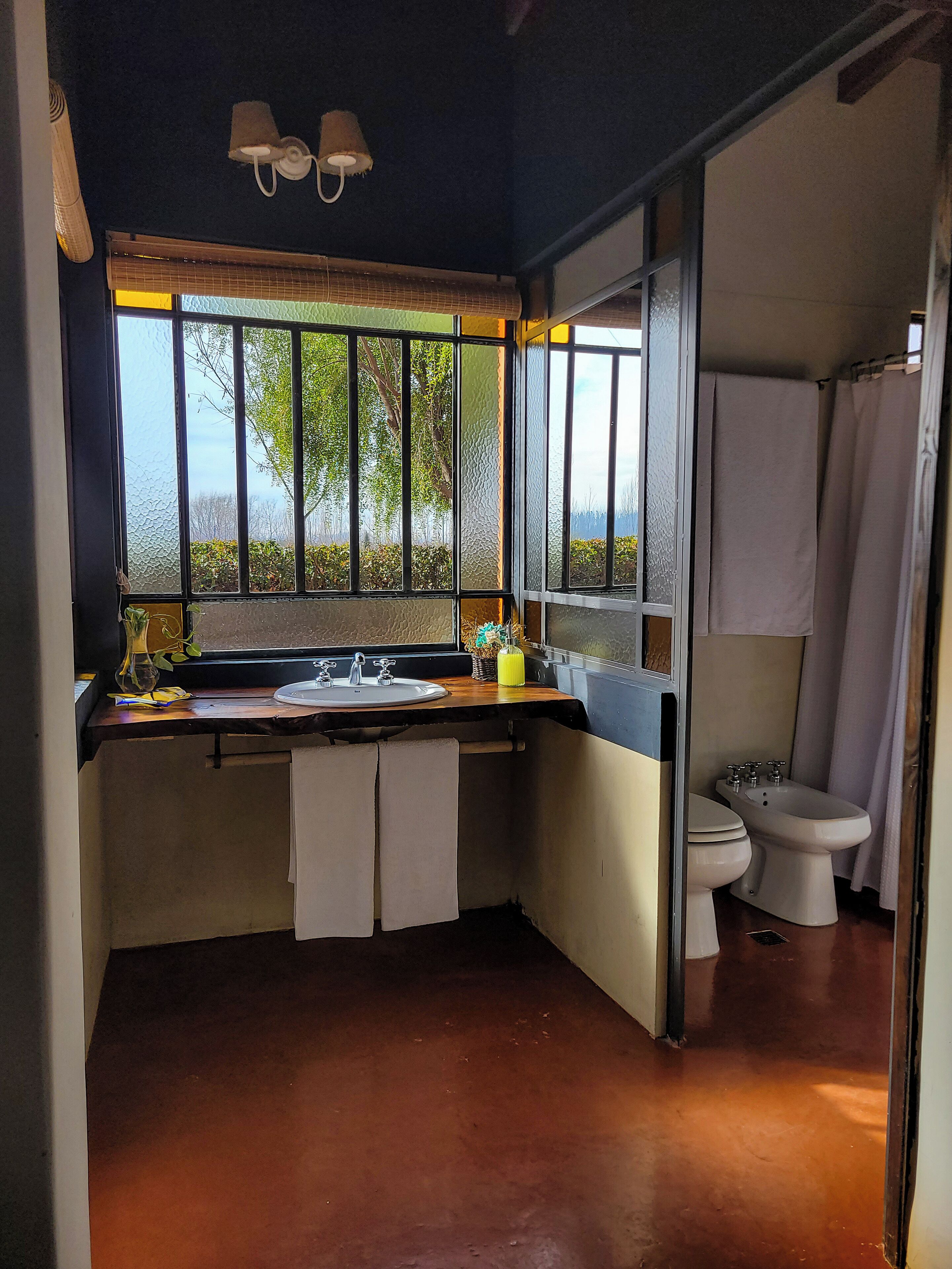 Baño pequeño y funcional con lavamanos, inodoro y ducha. Cuenta con ventana y vistas al exterior con vegetación.