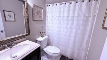 Hair dryer, towels, soap, shampoo