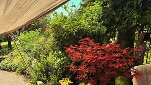 Un jardín con varias plantas en macetas, una silla de mimbre y una estatua.