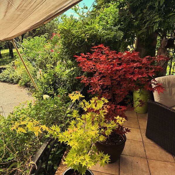A garden with various potted plants, a wicker chair, and a statue.