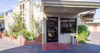 Carlton Motor lodge