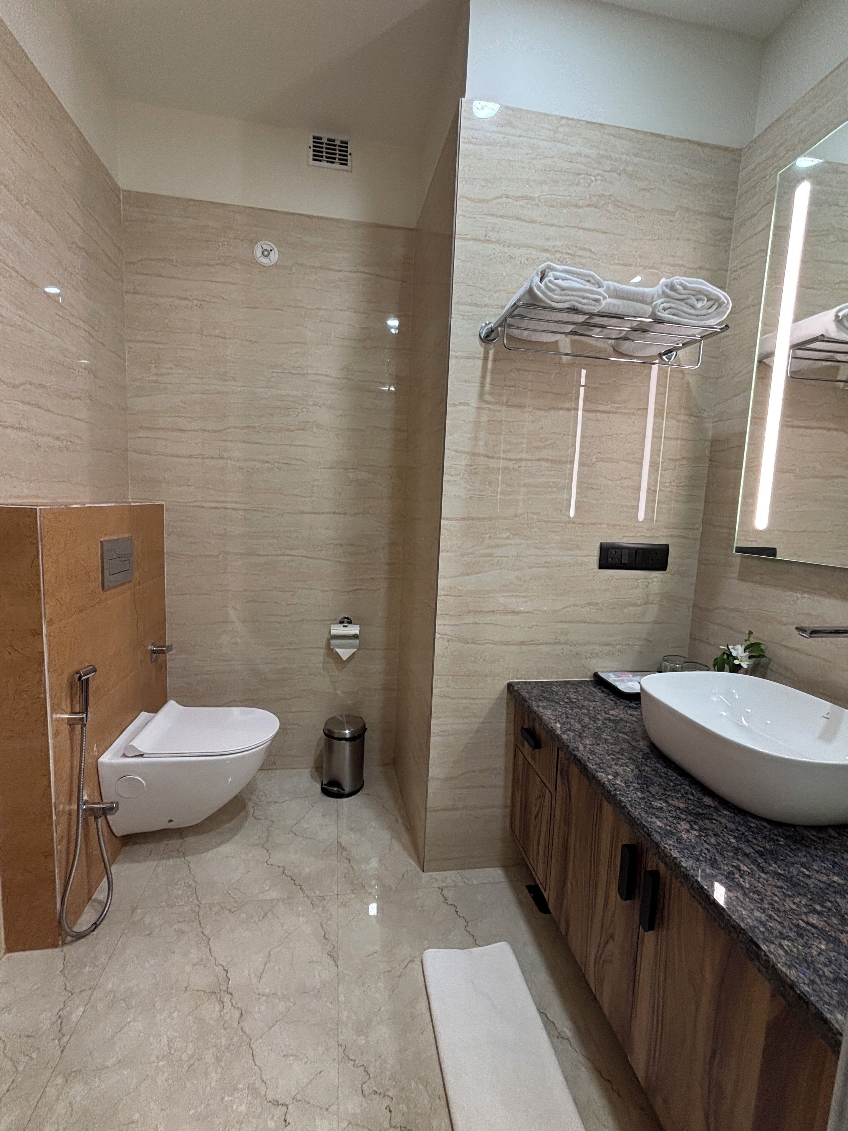 A modern bathroom with a walk-in shower, a toilet, a sink, and a vanity.