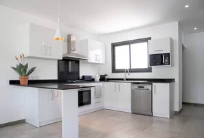 Fridge, oven, dishwasher, cookware/dishes/utensils