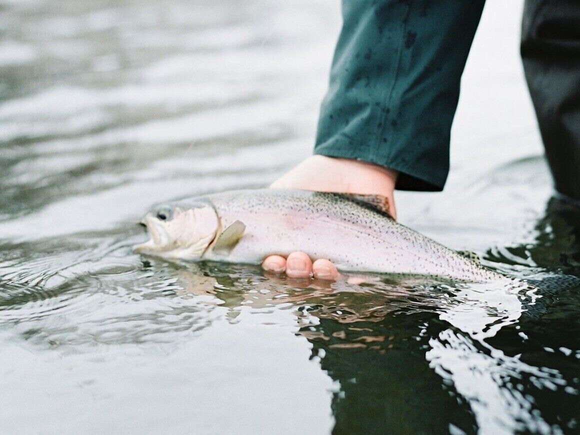 A person holding a fish in water.