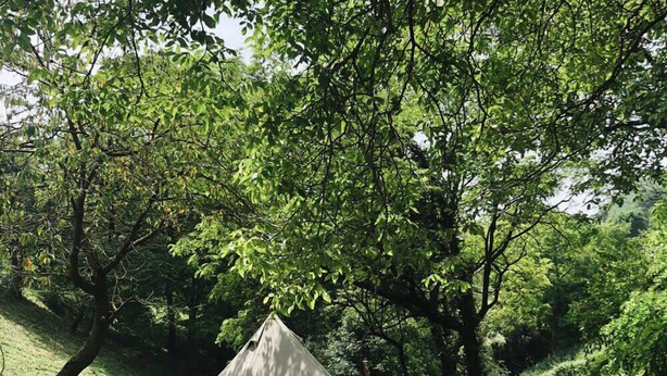 A tent set up on a wooden deck surrounded by lush greenery. - Il Mulino dei Veraghi (Molina)