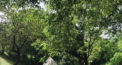 Il Mulino dei Veraghi