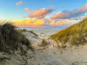 A beach path with dunes and a view of the ocean.