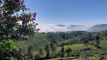 A lush green landscape with terraced fields and a clear sky.