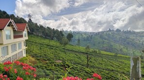 Vista aérea
