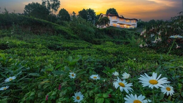 A house on a hill with a garden in the foreground. - Teanest Nightingale - Nature Resorts (Kotagiri)
