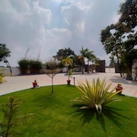 A well-maintained outdoor area with a lawn, potted plants, and a paved walkway.