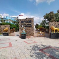A hotel entrance with a stone facade, two golden lion statues, and a sign indicating the hotel name.