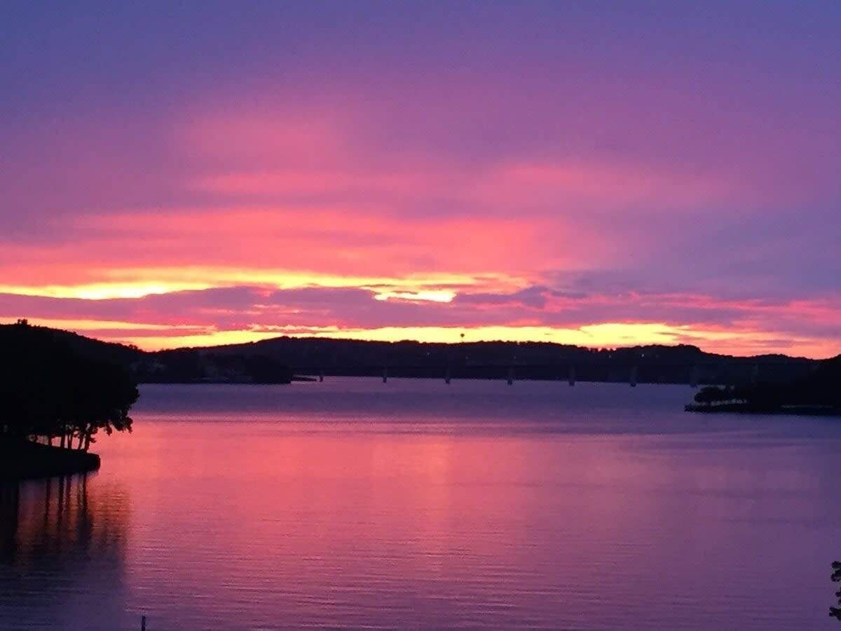 Imagen de perfil del propietario o de la propietaria