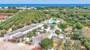 An olive grove with rows of trees, a swimming pool, and buildings with a Mediterranean architectural style. - Masseria Lamagrotte By Raro Rooms (Ostuni)