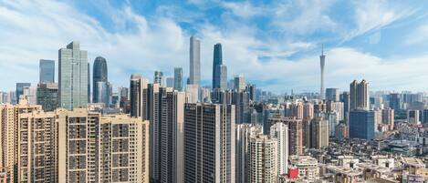 Vista desde la habitación