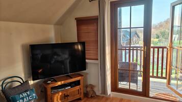 Smart TV, video games, DVD player, books