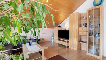 Fernseher, Kamin, DVD-Player, Stereoanlage