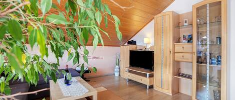 Fernseher, Kamin, DVD-Player, Stereoanlage