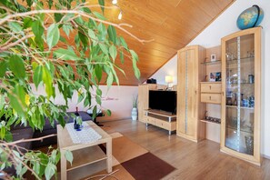 Fernseher, Kamin, DVD-Player, Stereoanlage