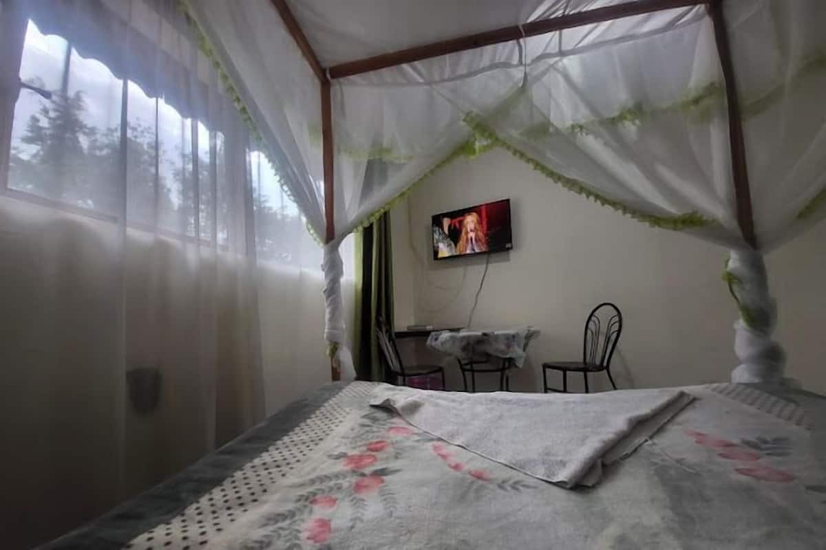 A room with a bed, a TV on the wall, and a desk with chairs.