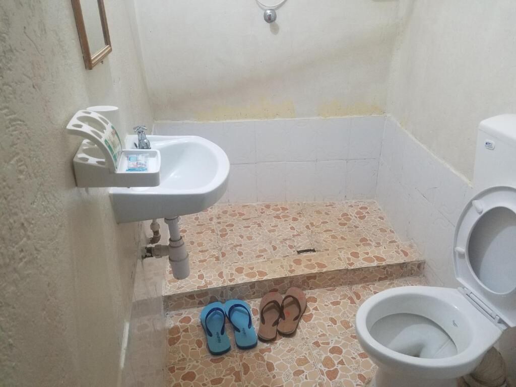 A bathroom with a sink, toilet, and a small step leading to a tiled floor.