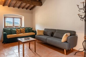 Télévision, cheminée, lecteur de DVD, chaîne hi-fi