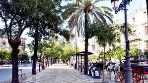 A city street lined with trees and a checkered pavement. - Cozy Penthouse in the center. Air conditioning (Jerez de la frontera)