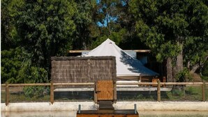 Un onsen japonès tradicional amb una banyera de fusta, envoltat per una tanca de fusta i arbres.