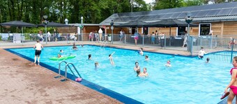 The Molehill - In the middle of the forest