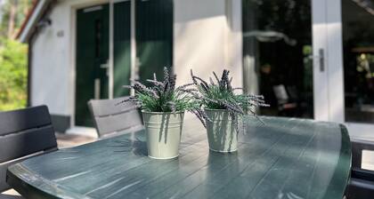 The Molehill - In the middle of the forest