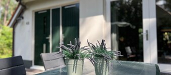 The Molehill - In the middle of the forest