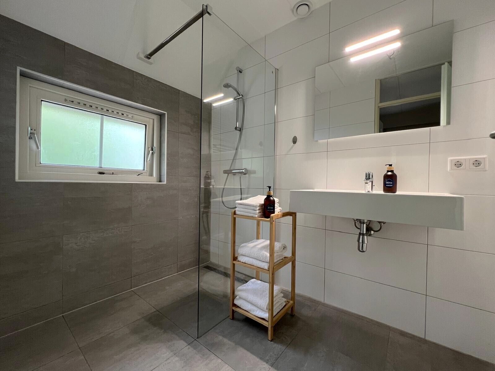Shower, hair dryer, soap, toilet paper