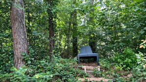 A forested area with a wooden staircase leading to a bench. - The Molshoop - Detached nature cottage in the middle of the Forest (IJhorst)