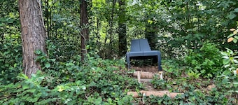 The Molehill - In the middle of the forest