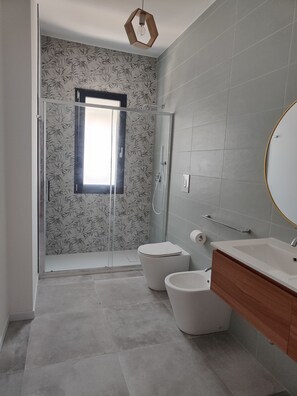 Shower, hair dryer, bidet, towels