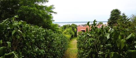 A narrow path flanked by dense green foliage leading to a building with a red roof.