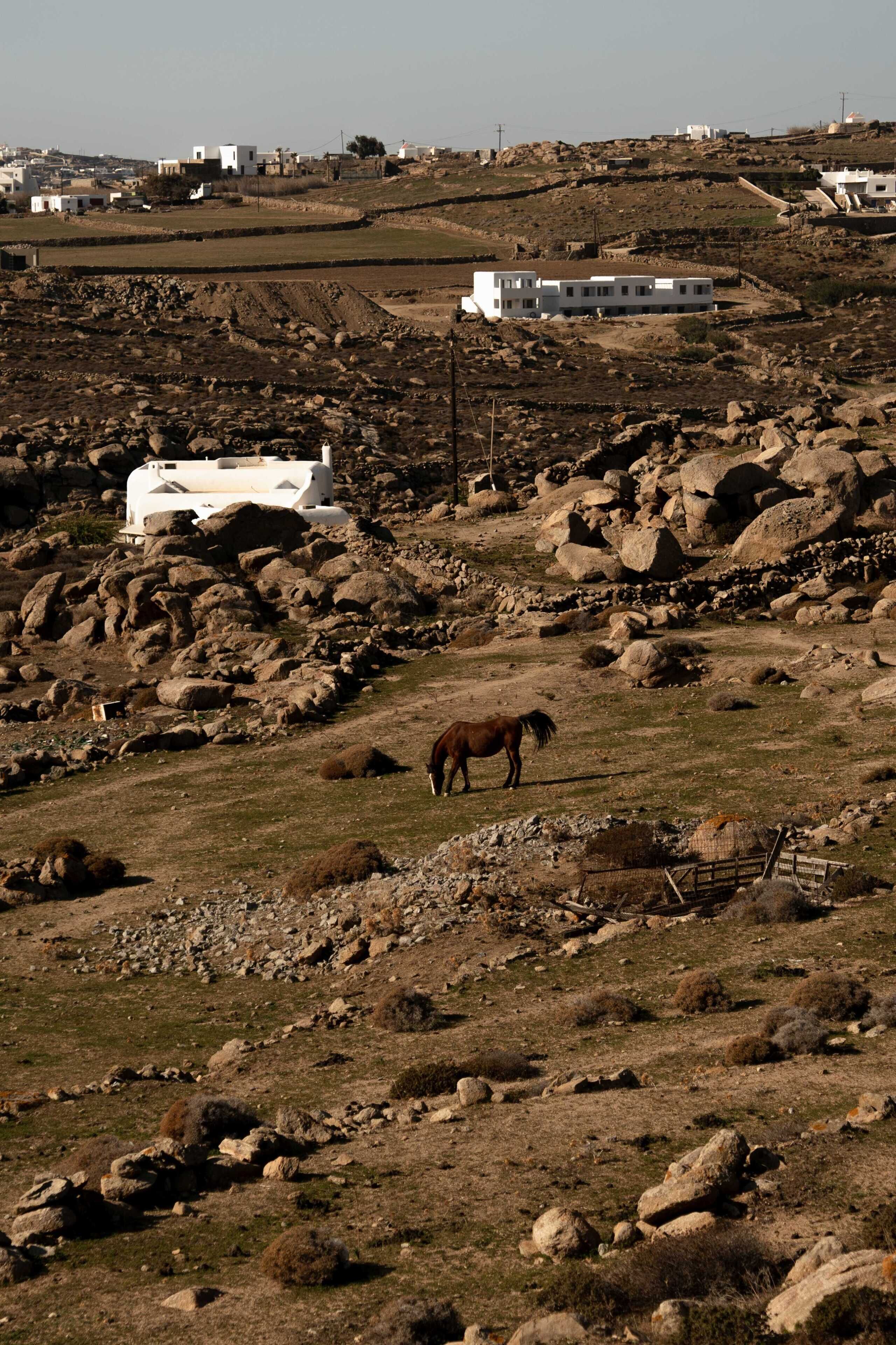 A rural landscape with a white building, rocky terrain, and a horse.