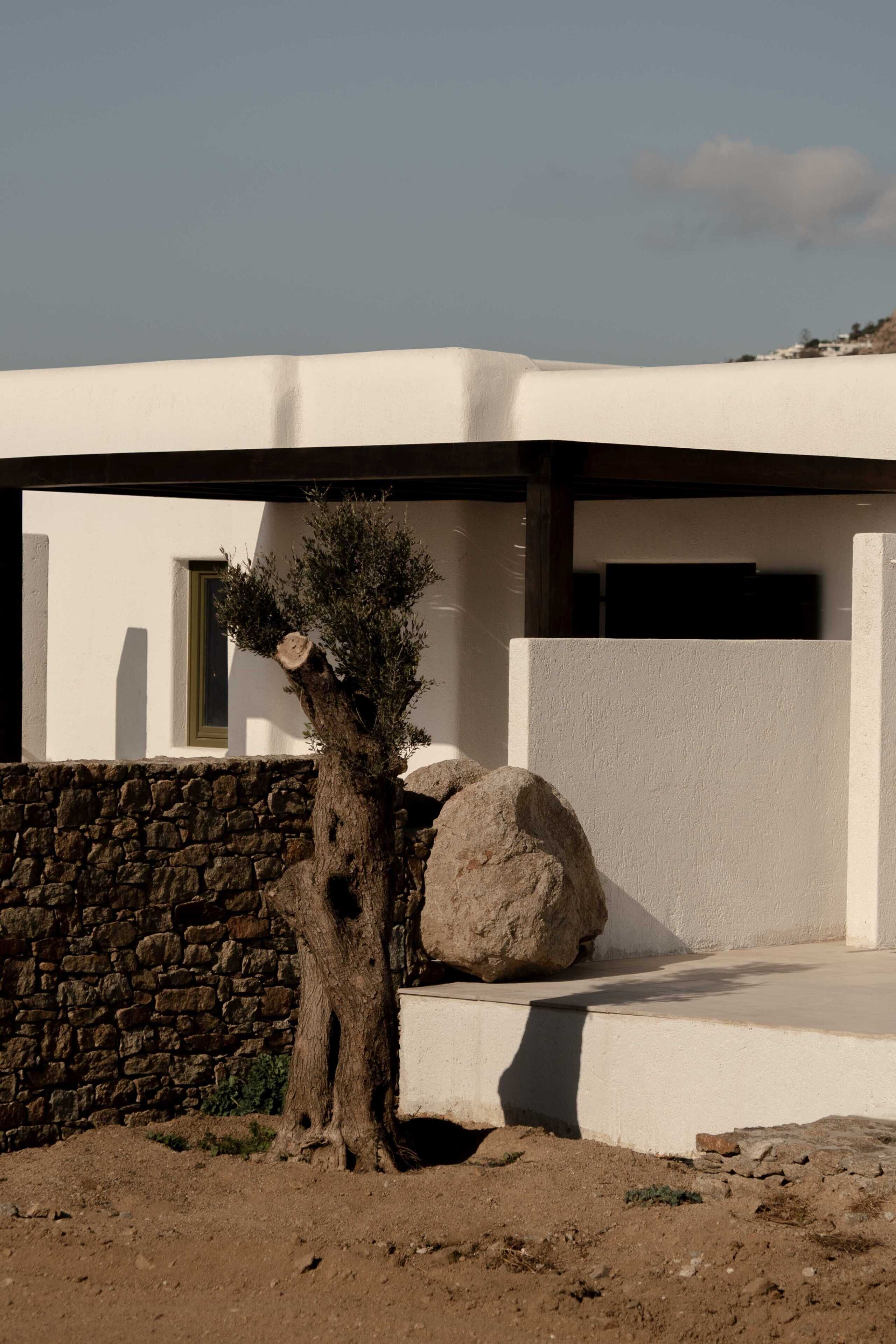 A modern building with a stone wall, a tree, and a large rock.