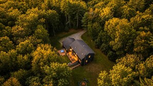 A cabin surrounded by dense forest, with a visible deck area and a fire pit.