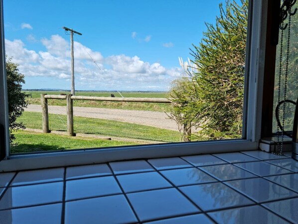 A window view of a grassy area with a wooden fence, a utility pole, and a clear blue sky.