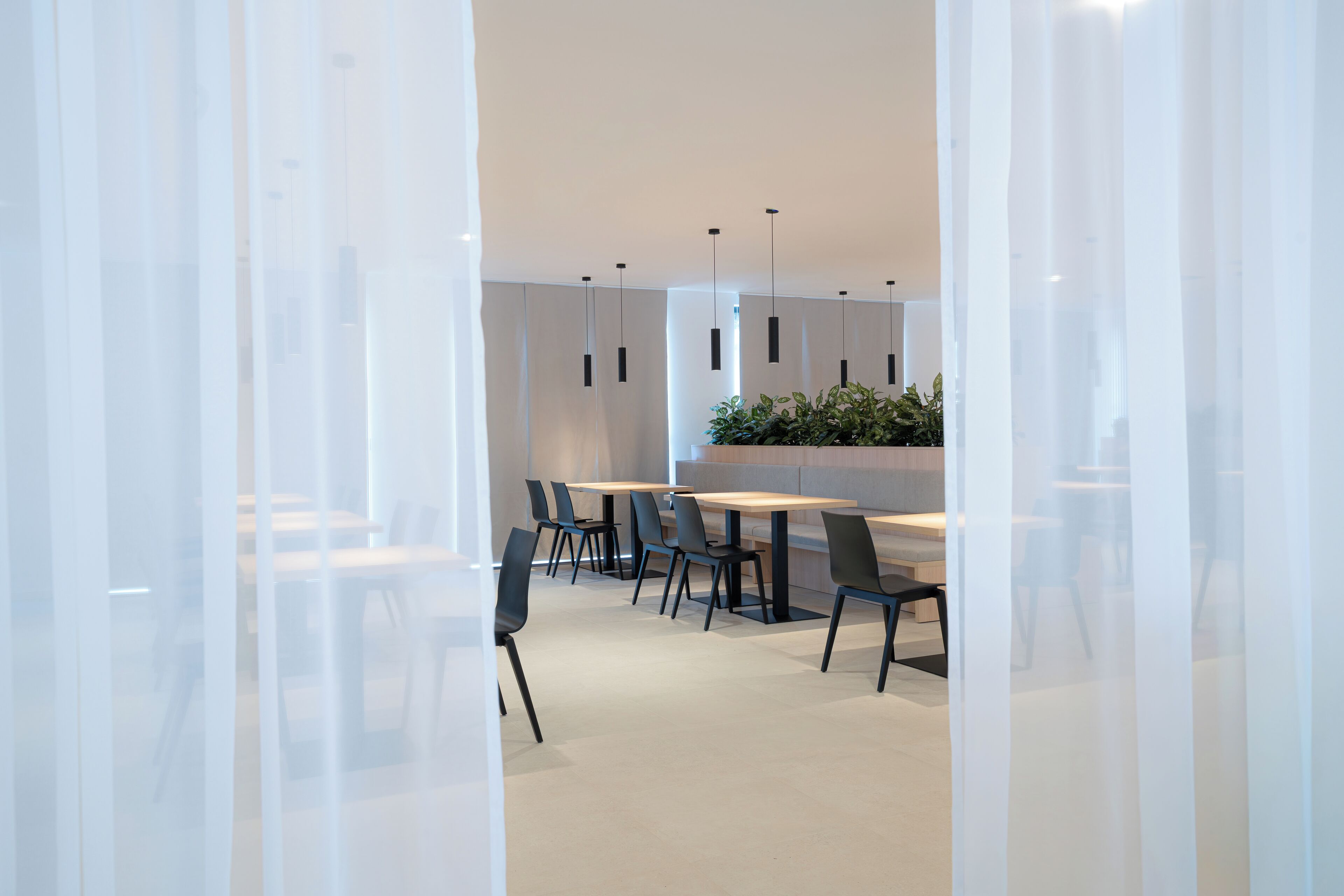 A modern meeting room with glass partitions, black chairs, and a central table with a plant.