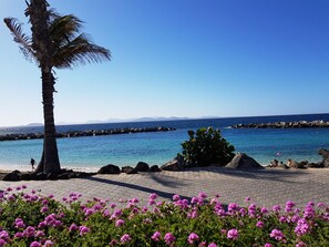 A coastal walkway with a palm tree, clear blue sea, and pink flowers. - Villa Zinnia - heated pool, aircon, large terrace with sun and shade all day (playa blanca)