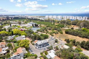 An aerial view of a residential area with modern houses, a swimming pool, and a view of the ocean.