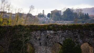A stone bridge with arches, surrounded by trees and buildings in the background.
