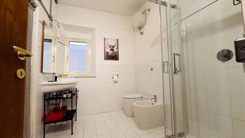 Shower, hair dryer, bidet, towels